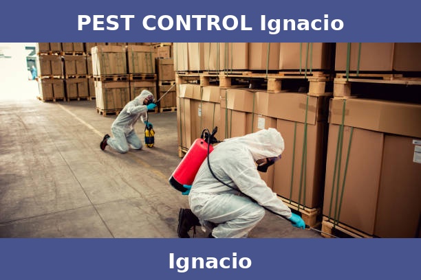 PEST CONTROL Ignacio